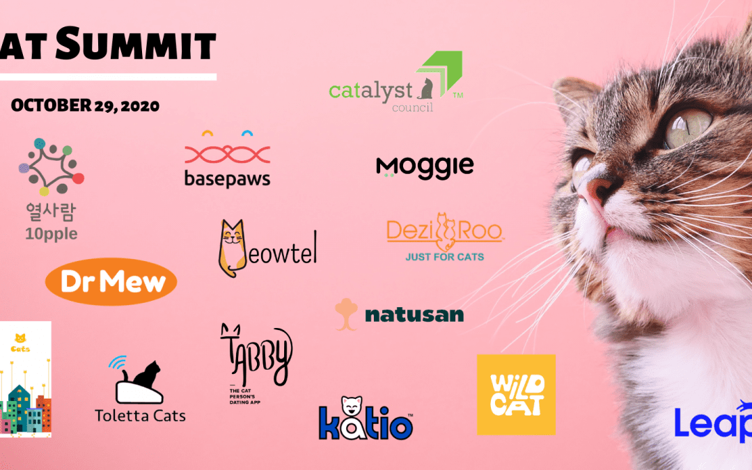 Leap Selects 13 Startups for Cat Summit on National Cat Day!