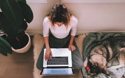 Online Veterinary Care: What Every Pet Owner Should Know